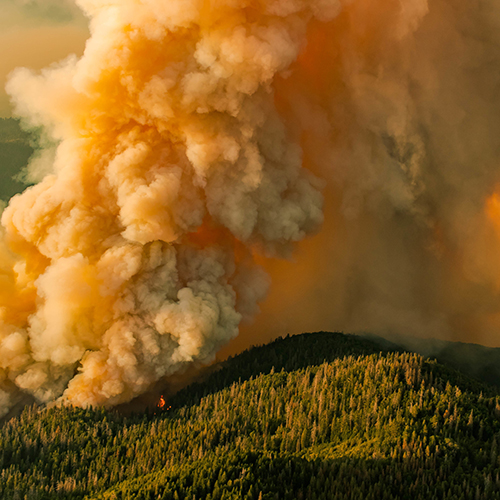 Breaking California's wildfire cycle*Now is the time to see fire management as both a societal and political issue, according to Bill Peterson 