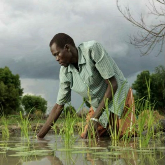 Free to read: Fighting food insecurity despite floods*Despite the scale of the issue, global food insecurity and famine are treatable issues. Jean-Michel Grand discusses solutions, including how to use floods to grow crops