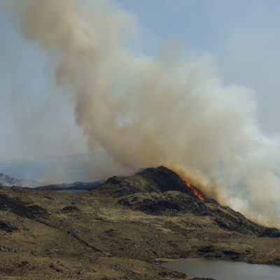 Is 2025 the UK’s most extreme wildfire year yet? New report says yes*August 2025: A Carbon Brief analysis reveals wildfires have scorched over 40,000 hectares of land across the UK so far in 2025, more than twice the size of Glasgow. pointing to climate change and human activity as major drivers