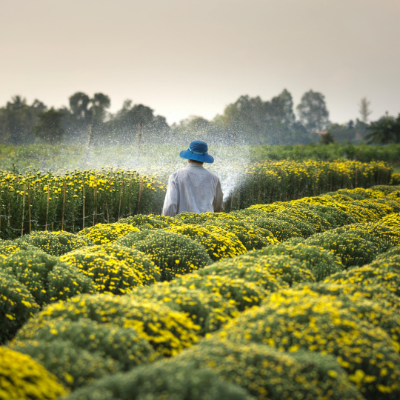 If Hormuz closes, will food prices surge next?*March 2026: A disruption of traffic through the Strait of Hormuz would not simply constitute an energy crisis; it would also represent a fertiliser shock, and, by extension, a direct risk to global food security, say Nima Shokri and Salome M S Shokri-Kuehni