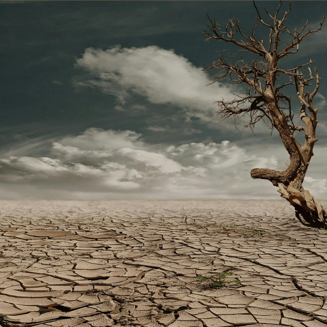 Drought - IMG