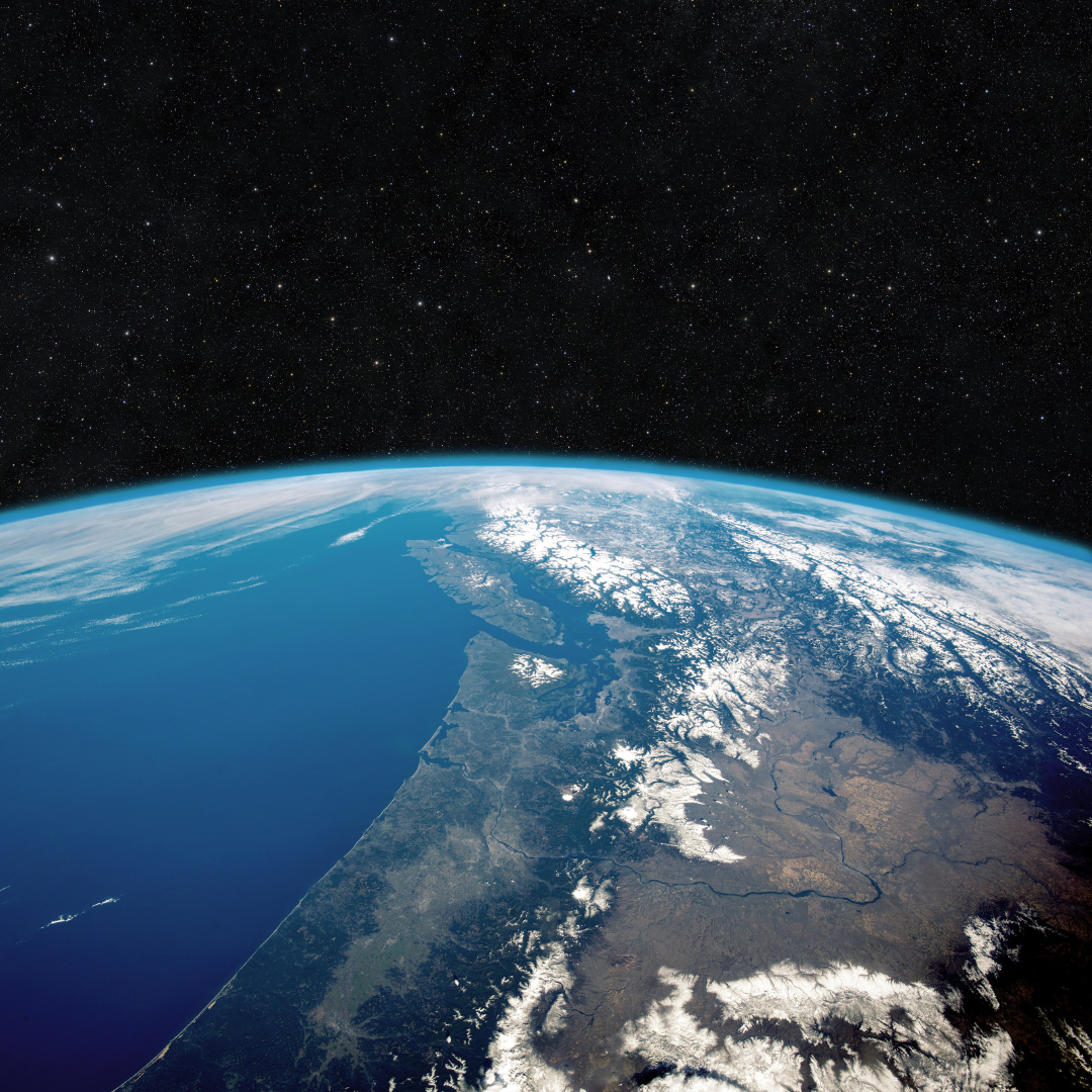 Earth's land cover (2)