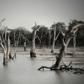 Kenyan floods unearth years of bad planning 